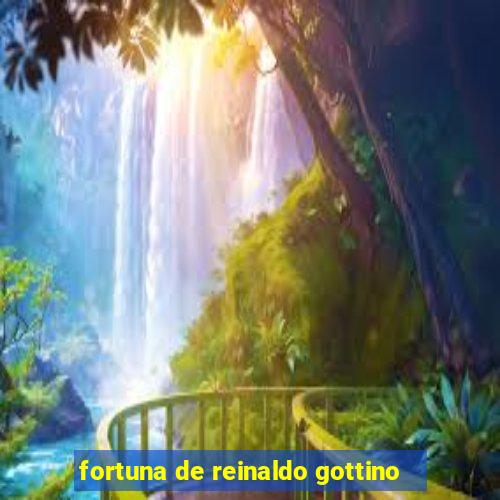 fortuna de reinaldo gottino